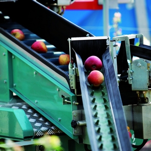 LUB食品润滑油 Lubrisept-Food 394502 2