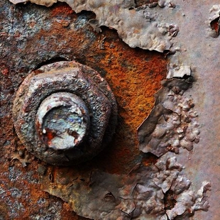 ���������Rost-Sp��ler Plus  396011 2