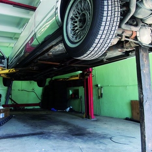 ��̬����Ũ����ϴ�� Bio-Reinigungskonzentrat  383009��383010 3