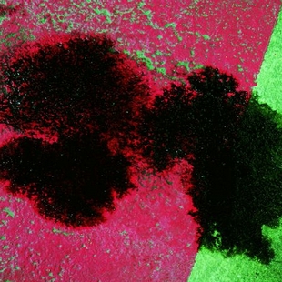 ���ͼ� Betonox Oelentferner  386009��386010 3